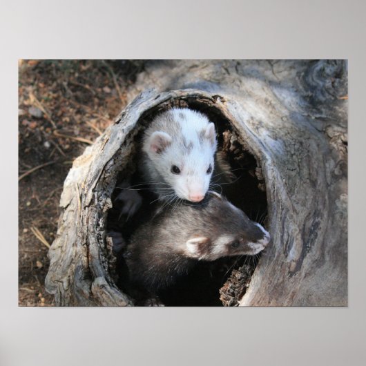 Impression des pales (Devant)