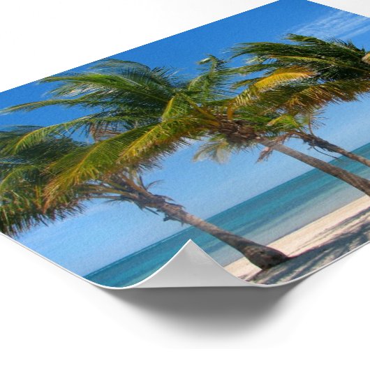 Impression des palmiers de Floride (Coin)