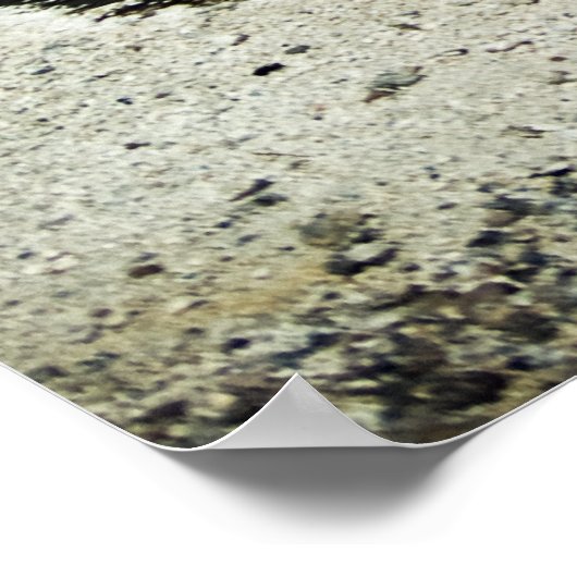 Impression des pots déversés (Coin)