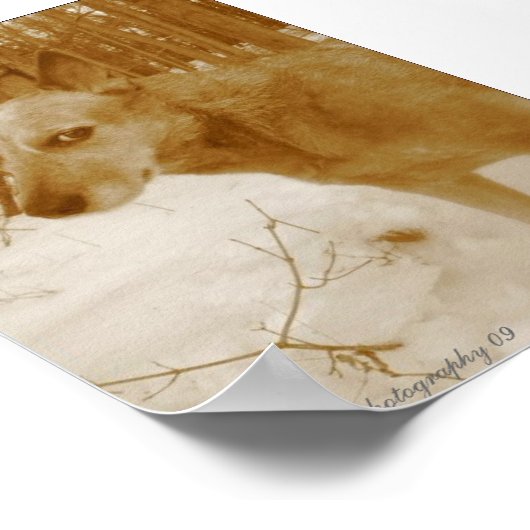 Impression des yeux mal (Coin)