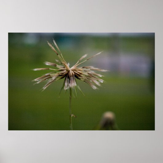 Impression différée (Devant)