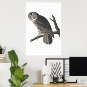 Impression d'illustration vintage Great Cingrill O (Bureau à domicile)