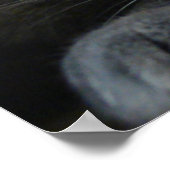 Impression d'intensité (Coin)