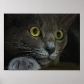 Impression d'intensité (Devant)