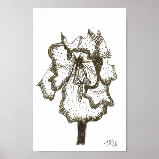 Impression d'iris (Devant)