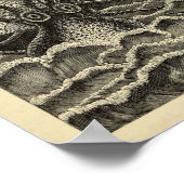 Impression d'objets Octopus vintages (Coin)