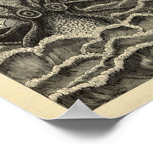 Impression d'objets Octopus vintages (Coin)