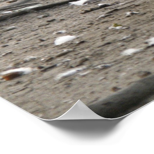 Impression d'oies du Canada (Coin)