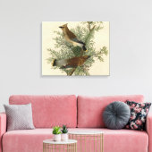Impression d'oiseau de John James Audubon Jaseur b (Insitu(Salon))