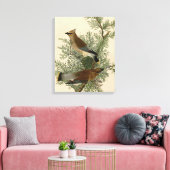Impression d'oiseau de John James Audubon Jaseur b (Insitu(Salon))