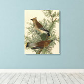 Impression d'oiseau de John James Audubon Jaseur b (Insitu (Plancher de Bois))