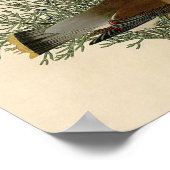 Impression d'oiseau de John James Audubon Jaseur d (Coin)