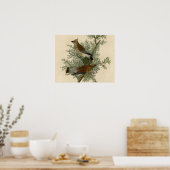 Impression d'oiseau de John James Audubon Jaseur d (Cuisine)