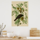 Impression d'oiseau Grackle violet d'Audubon Botan (Cuisine)