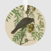 Impression d'oiseau Grackle Violet d'Audubon Botan (dos)