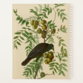 Impression d'oiseau Grackle violet d'Audubon Botan (Dos)