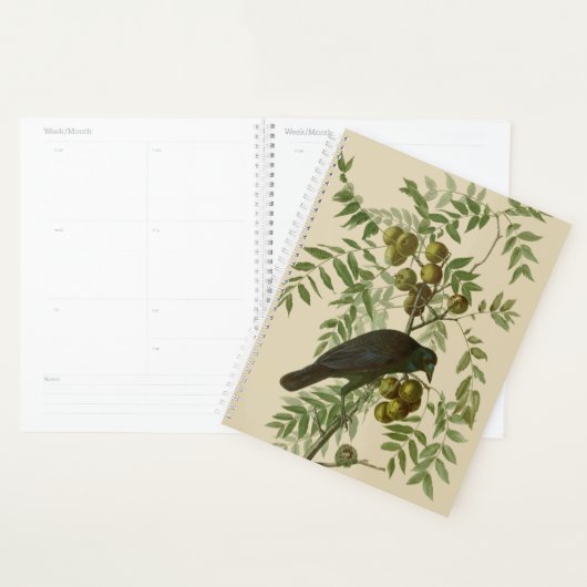 Impression d'oiseau Grackle violet d'Audubon Botan (Devant avec enveloppe)