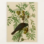 Impression d'oiseau Grackle violet d'Audubon Botan (Devant)