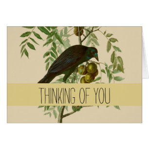 Impression d'oiseau Grackle violet d'Audubon Botan
