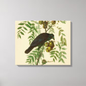 Impression d'oiseau Grackle violet d'Audubon Botan (Recto)