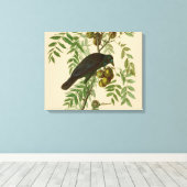 Impression d'oiseau Grackle violet d'Audubon Botan (Insitu (Plancher de Bois))