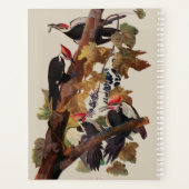 Impression d'oiseau Pic à tête rouge de John James (Dos)