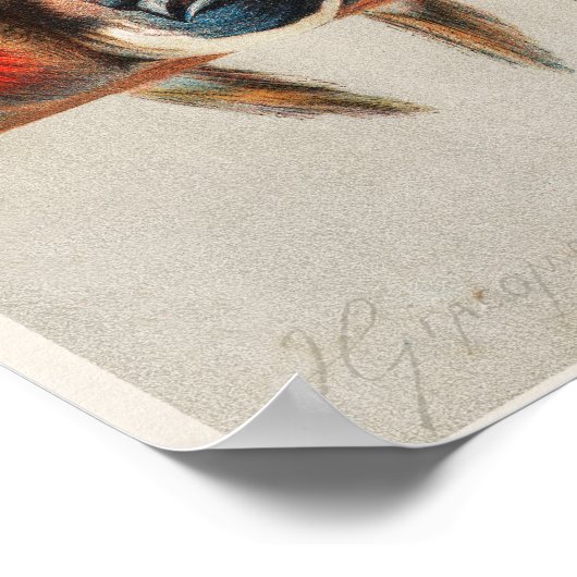 Impression d'oiseaux vintages (Coin)