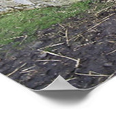 Impression Donkey (Coin)