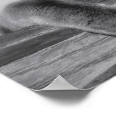 Impression dorée (Coin)