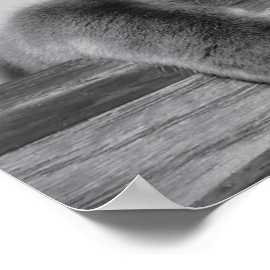 Impression dorée (Coin)