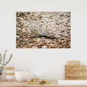 Impression Dove 3 en deuil (Cuisine)