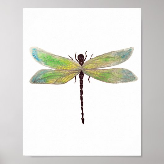 Impression Dragonfly 8x10 (Devant)