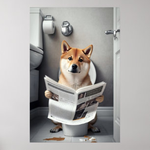 Impression drôle de Shiba Inu dans la salle de bai