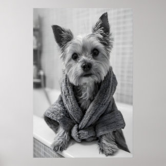 Impression drôle de Yorkshire Terrier en robe de b