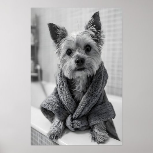 Impression drôle de Yorkshire Terrier en robe de b (Devant)