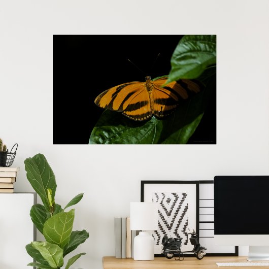 Impression Dryad (Bureau à domicile)