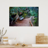 Impression du banc de chemin de forêt (Cuisine)