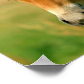 Impression du cheval filaire (Coin)