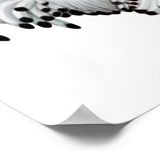 Impression du coq de Hambourg frangé en argent (Coin)