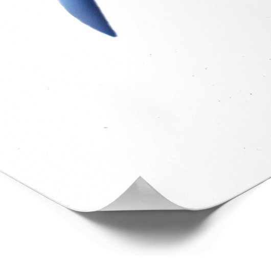 Impression du crabe bleu (Coin)