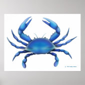 Impression du crabe bleu (Devant)