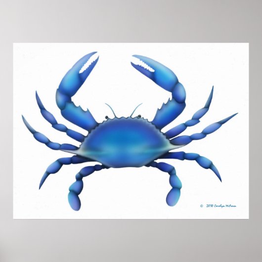 Impression du crabe bleu (Devant)