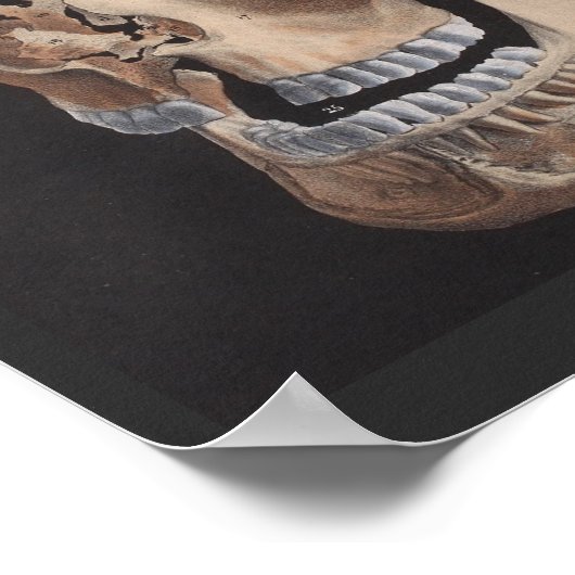 Impression du crâne éclaté désarticulé (Coin)