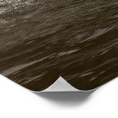 Impression du cygne à éclaboussure (Coin)