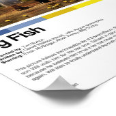 Impression du film Big Fish (Coin)