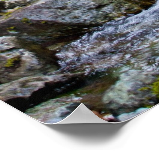 Impression du flux de montagne (Coin)