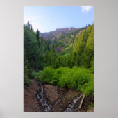 Impression du flux de montagne (Devant)