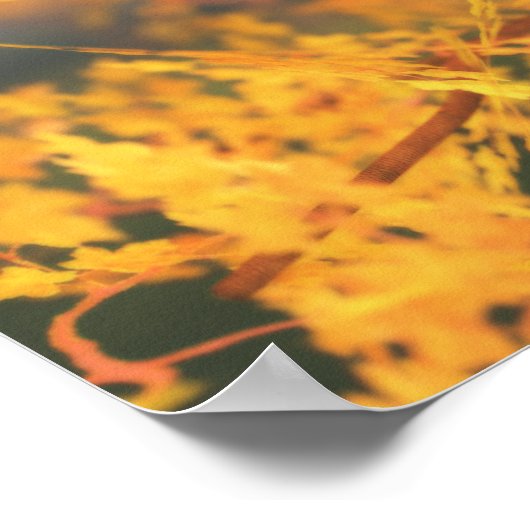 Impression du Gardien d'automne (Coin)