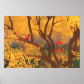 Impression du Gardien d'automne (Devant)