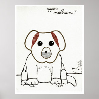 Impression du milieu supérieur